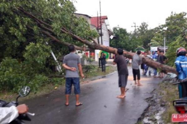 BNPB: Angin Kencang Terjang Enam Desa di Madiun