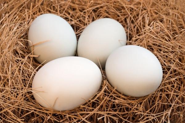 Kaya Nutrisi, ini Manfaat Telur Bebek Bagi Kesehatan