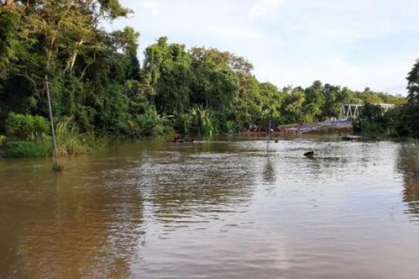 BNPB: Banjir Rendam 5.208 Rumah Warga Kutai Kartanegara