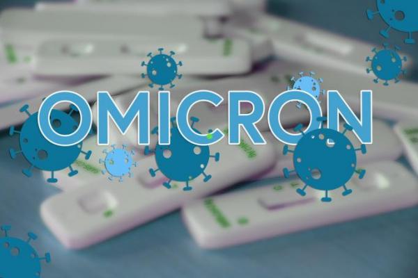 Komisi IX DPR Minta Pemerintah Masifkan Testing dan Tracing Cegah Omicron