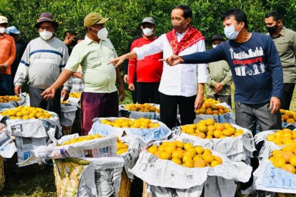 Tinjau Kampung Jeruk, Presiden Jokowi Tegaskan Pentingnya Infrastruktur Jalan