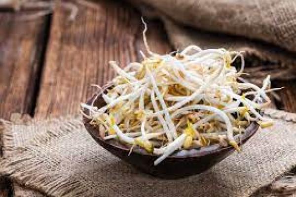 Kaya Vitamin, ini Manfaat Sayur Toge Bagi Kesehatan