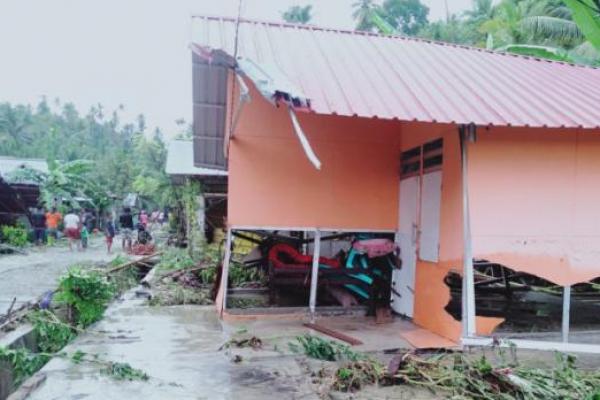 BNPB: Banjir Bandang Banggai Sulteng Sebabkan 178 Hewan Ternak Mati