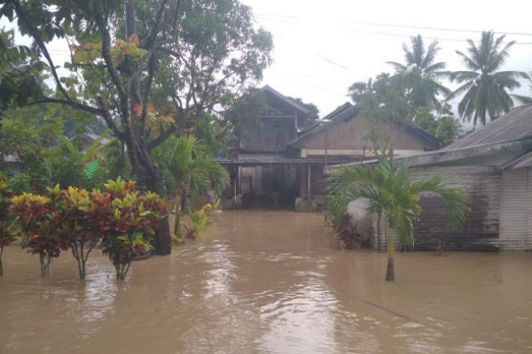 Bolaang Mongondow Utara Dilanda Banjir, BNPB: Jalur Trans Sulawesi Lumpuh