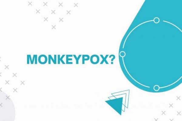 Pemerintah Minta Jajaran Kesehatan Waspadai Penyakit Monkeypox
