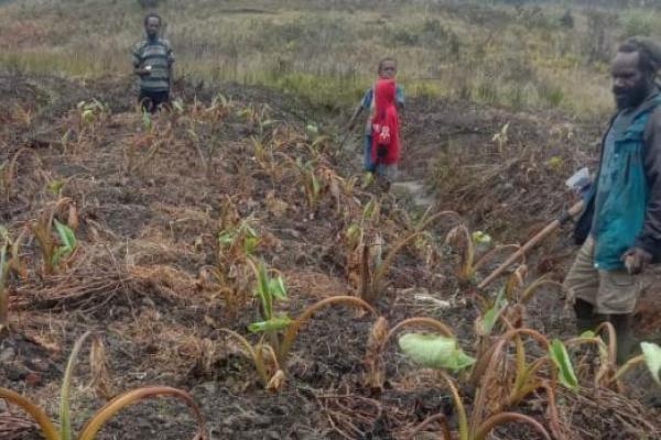 Penanganan Kekeringan, Pemkab Lanny Jaya Papua Aktifkan Posko Darurat Bencana