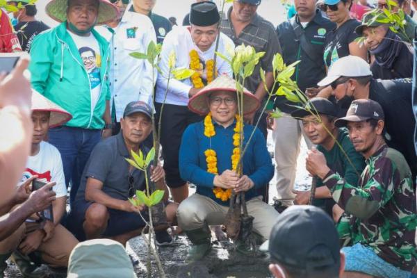 Tanam Mangrove di Bali, Gus Muhaimin Ajak Masyarakat Selamatkan Bumi