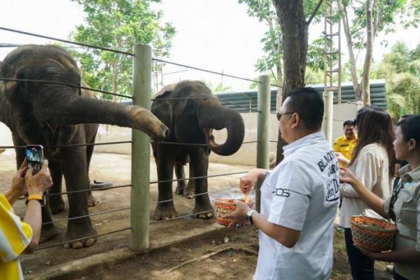 Kunjungi Bali Zoo, Bamsoet Ajak Masyarakat Dukung Pelestarian Satwa Liar