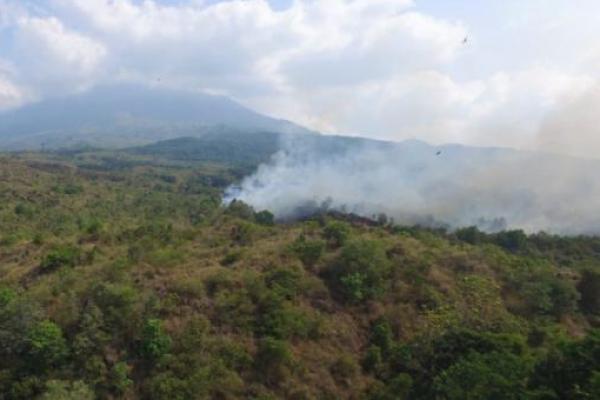 BNPB: 95 Hektar Hutan dan Lahan di Gunung Ciremai Kebakaran