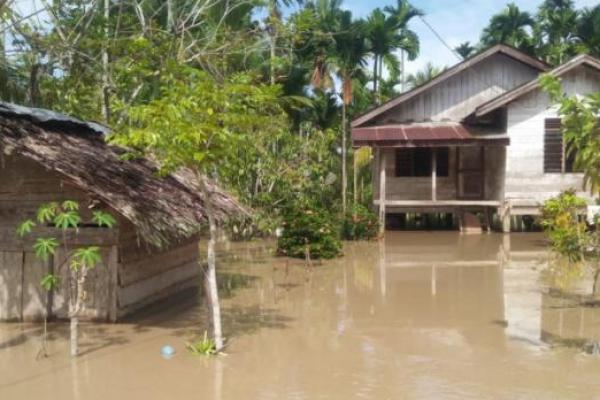 Bantu Penanganan Banjir di Aceh Utara, BNPB Serahkan Bantuan Senilai Rp350 Juta