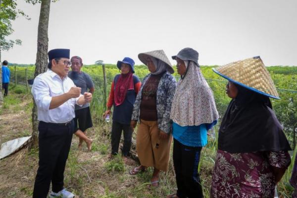Sapa Petani Lampung, Gus Muhaimin: Subsidi Pupuk Harus Diperbanyak