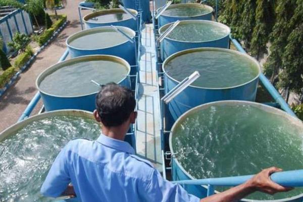 Rain Pendanaan Rp 45 T, Indonesia Water Fund Jalankan 31 Proyek Air Bersih