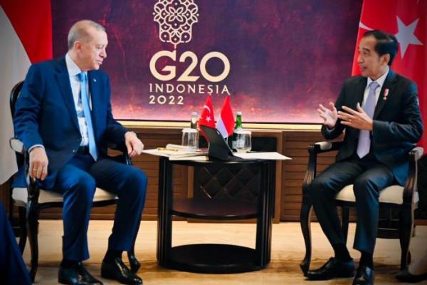 Presiden Jokowi Apresiasi Kehadiran Turki di KTT G20 Bali