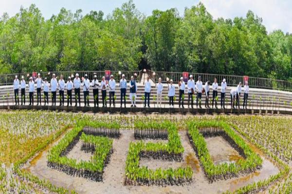 Presiden Jokowi Ajak Para Pemimpin Negara G20 Tanam Pohon Mangrove di Tahura