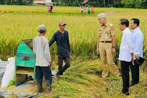 Tanggapi Keluhan Petani, Presiden Jokowi Minta Badan Pangan Hitung Harga Gabah Kering