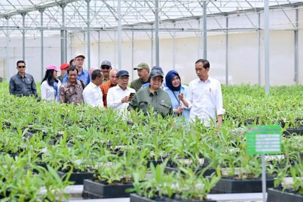 Presiden Jokowi Tinjau Persemaian Mentawir, Wujud Komitmen Pemerintah Jaga Lingkungan