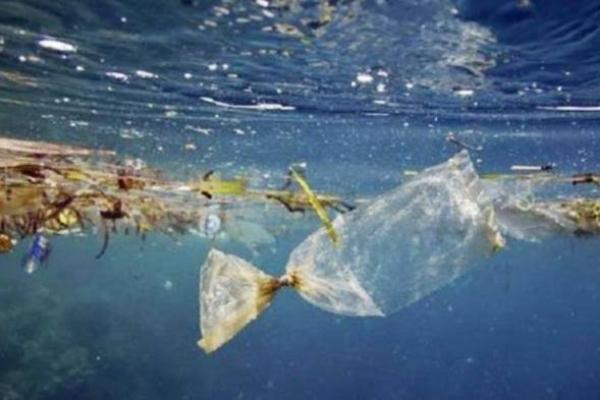 RI Klaim Sukses Kurangi 36 Persen Sampah Plastik di Laut