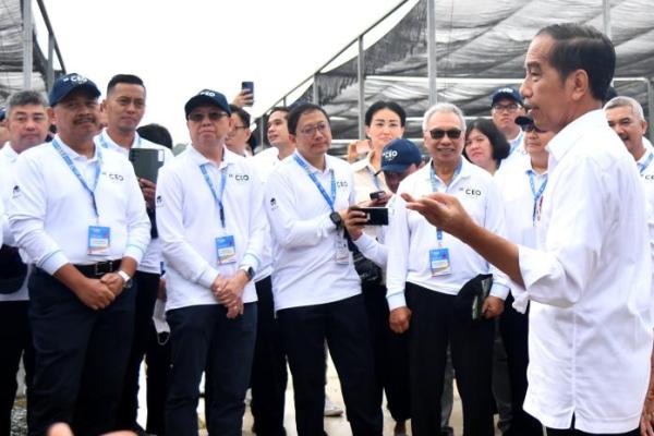 Presiden Jokowi Ajak Semua Pihak Bersama Bangun IKN