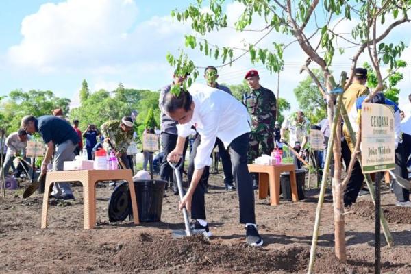 Presiden Jokowi Ajak Masyarakat NTT Tanam Pohon Cendana