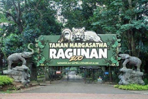 Libur Tahun Baru 2024, Taman Margasatwa Ragunan Dibanjiri Pengunjung