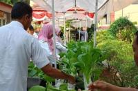 Pemkot Tangerang Ajak Masyarakat Lakukan Urban Farming