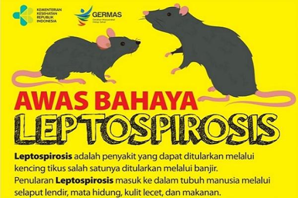 Dinkes Kota Tangerang Minta Warga Waspadai Penyakit Leptospirosis