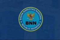 Gagalkan Penyelundupan 2 Ton Sabu, BNN: Didistribusikan ke Negara Kawasan Asia Tenggara