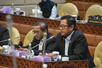 DPR Sebut Tragedi Air India Alarm bagi Penerbangan Nasional