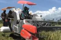 Petani Banyuwangi Sujud Syukur, Harga Gabah Tembus Rp6.800