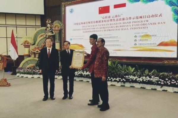 Pemprov Bali Gandeng Yunnan China Budidaya Padi Organik dan Agroekowisata