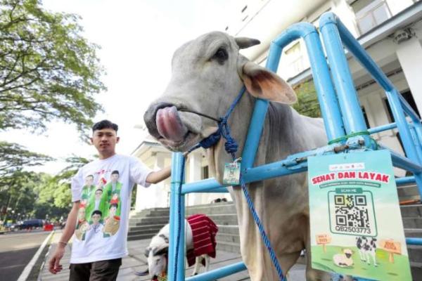 Pemkot Bandung Imbau Masyarakat Lebih Cermat Pilih Hewan Kurban