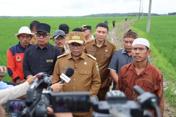 Gubernur Banten Andra Soni Tinjau Lokasi Program Jalan Usaha Tani
