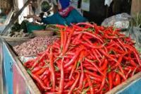 Harga Cabai Keriting dan Bawang Merah di Jatim Turun Hari Ini
