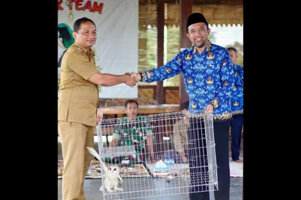 Pemkab Banyuwangi Lepas Ratusan Burung Hantu Kendalikan Serangan Hama Tikus