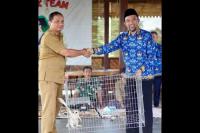 Pemkab Banyuwangi Lepas Ratusan Burung Hantu Kendalikan Serangan Hama Tikus