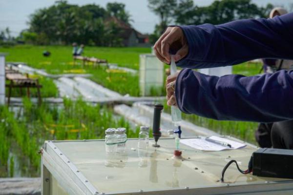 Banyuwangi Terus Lakukan Terobosan Turunkan Angka Stunting Melalui Beras Super Gizi