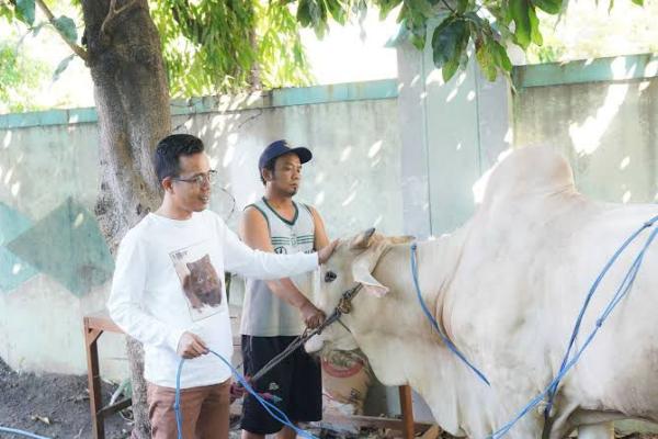 PKB Jatim Salurkan Ribuan Hewan Kurban Lewat Kader di Seluruh Daerah