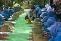 Pemerintah Dorong Hilirisasi Kopi Lewat Panen Raya di Ijen Bondowoso