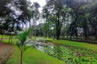 Pramono Ungkap Alasan Perbanyak Taman dan Fasilitas Olahaga di Jakarta