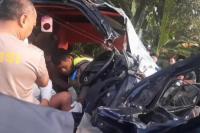 Grand Max Hantam Pohon di Magetan, Sopir Tewas di Tempat