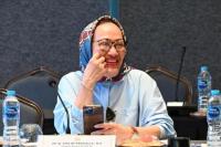 Legislator PKB Ajak Semua Pihak Waspadai Pengibaran Bendera One Peace