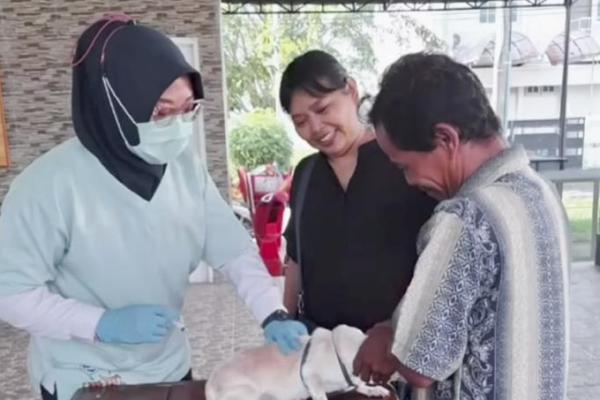 Periode Juli 2025, Pemkot Jakarta Barat Telah Vaksinasi Rabies 1.166 HPR
