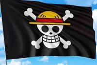 Bupati Banyuwangi Soroti Tren Bendera One Piece Saat Menyambut HUT RI